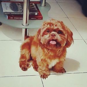 Meet your Posher, Mic